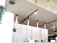 脚のオイルスリミング